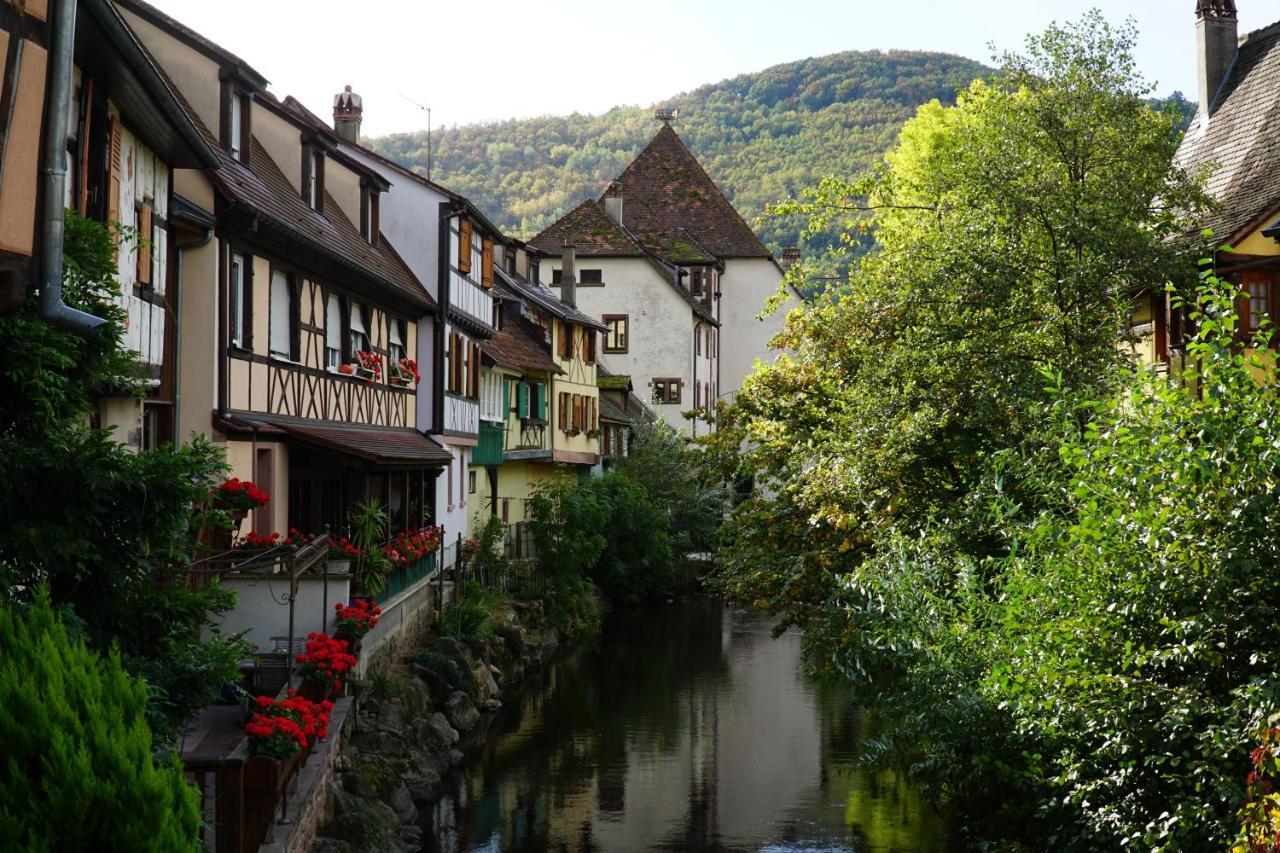 Gite Du Xve Kaysersberg-Vignoble Exteriér fotografie